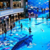 led display led display